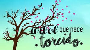“Árbol que crece torcido,…….”.