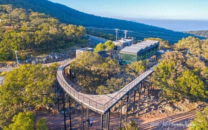 Resurge presencia de fauna en zonas aledañas a Victoria