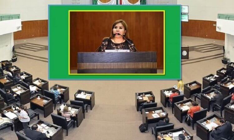REGRESAR A LO FÓSIL, ES MÁS COSTOSO Y CONTAMINANTE: ROXANA