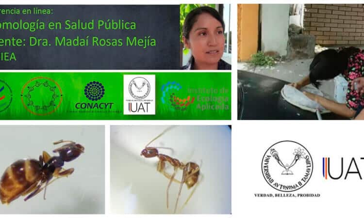 Colabora UAT en red científica de entomología y salud pública