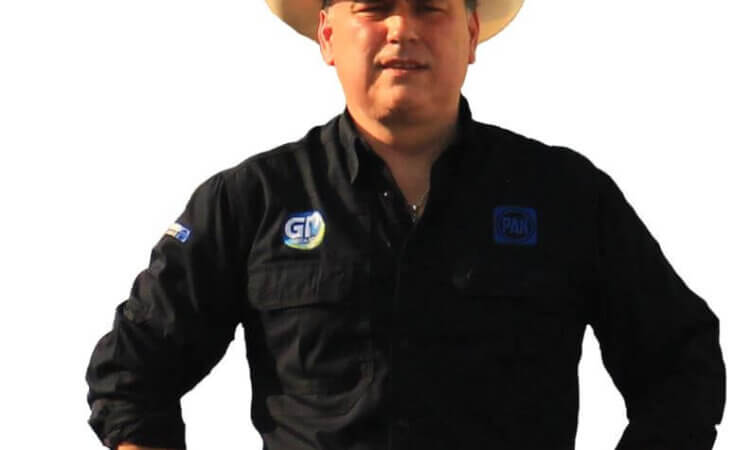 El colmillo del caballo