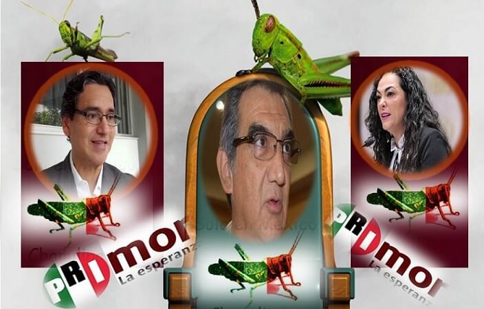 AMÉRICO, OLGA Y ERASMO: “TERCIA DE REDOMADOS CHAPULINES”….!