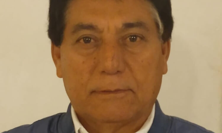 ESTAMPIDA EN . . . FUERZA   POR MÉXICO