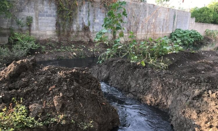 CONTAMINANDO EL MANTE … o como era…el lema del Dr.Carballo.