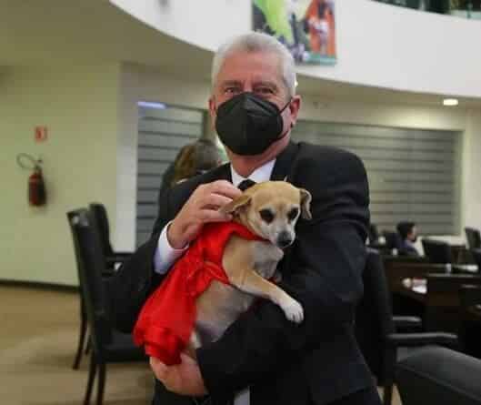 ARMANDO ZERTUCHE ¡DE QUE SE VA… SE FUE!
