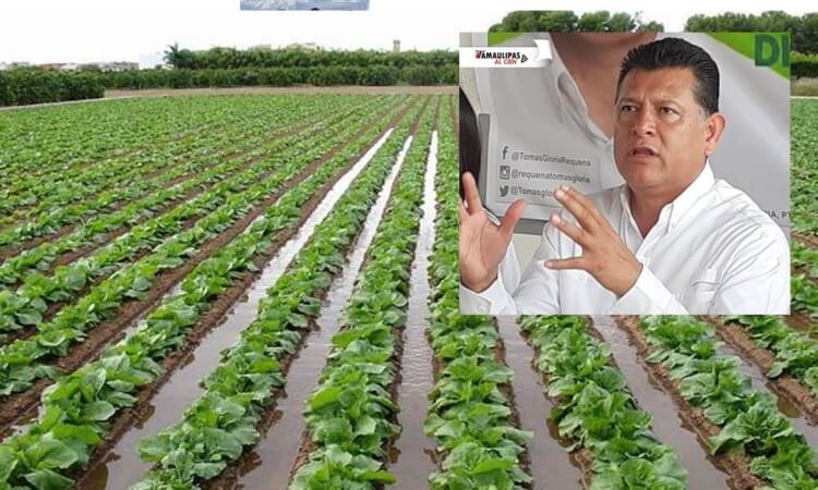 DEFENDER DERECHOS AL AGUA PARA EL CAMPO, SANEAMIENTO Y POTABILIZACIÓN, ES MI PROPÓSITO: DIPUTADO TOMÁS GLORIA.