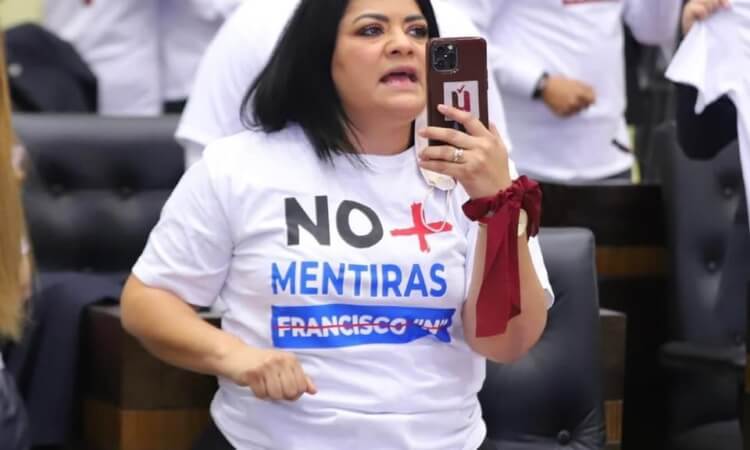 Ursula Salazar: coordinadora de los diputados de Morena