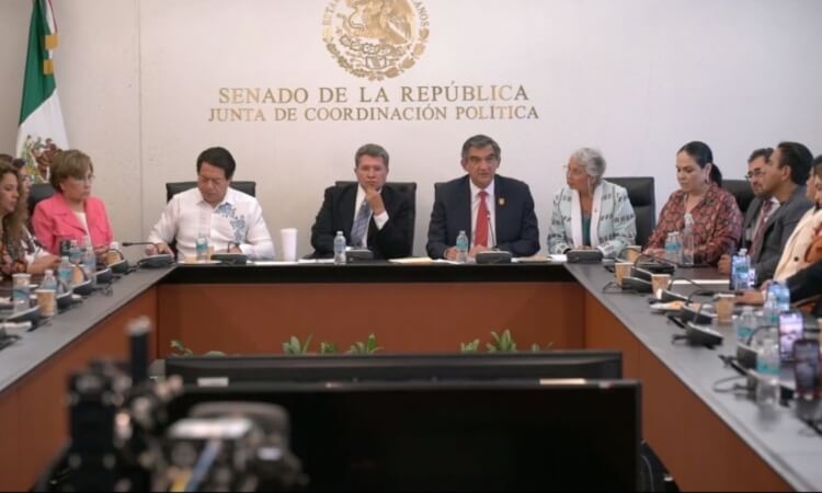 DENUNCIA AVA A MAQUINARIA AZUL  ANTE EL SENADO