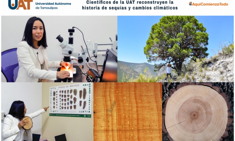 <strong>Científicos de la UAT reconstruyen la historia de sequías y cambios climáticos</strong>