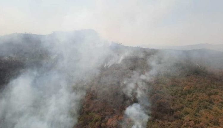Municipios del Altiplano zonas de riesgo y vulnerables a incendios forestales