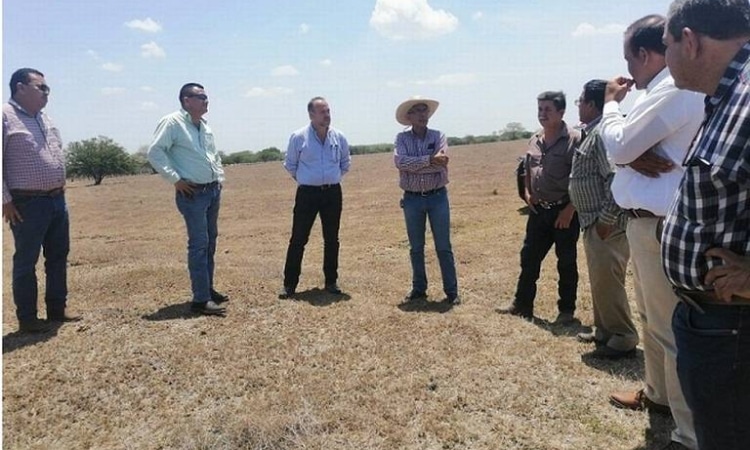 Piden productores liberen  recursos destinados al programa de sequias