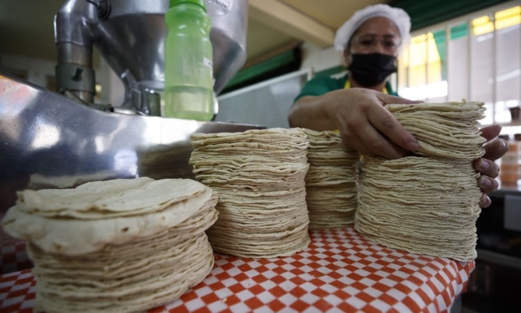A partir de marzo advierten nuevo precio al kilogramo de tortilla