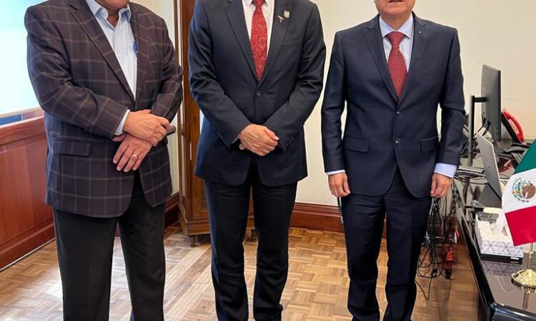 Las “Comadres Políticas” en Miquihuana