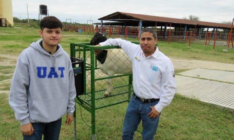 UAT, INNOVA SISTEMA DE MONITOREO PARA INGESTA DE ALIMENTOS DE BORREGOS
