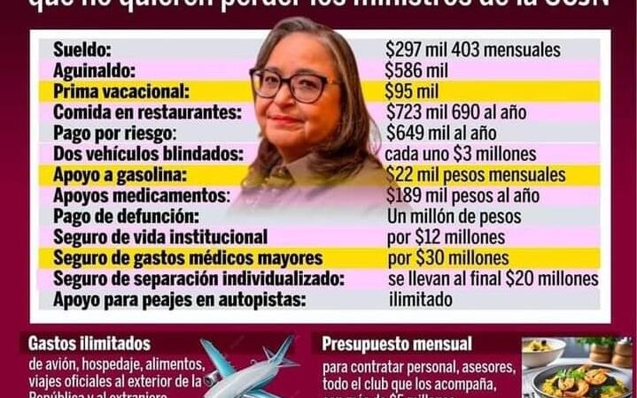Los «Demócratas Juzgadores» intentan tumbar la Democracia