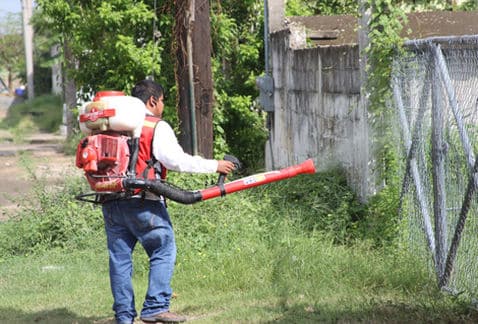 La mayoría de los 2,102  casos de dengue en Tamaulipas no son graves