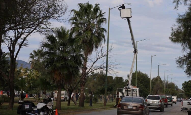 Intensifica Municipio limpieza y alumbrado en parques y jardines.