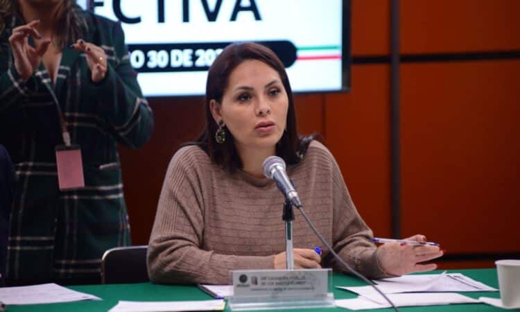 Casandra de los Santos, ¿diputada o delincuente?