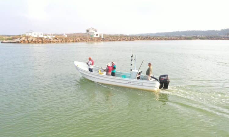 Detecta la Marina pesca ilegal en costas de Tamaulipas