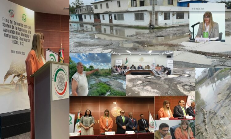 MAKI SE LUCE EN EL SENADO Y, “OCULTA LA VERDAD DE REYNOSA”