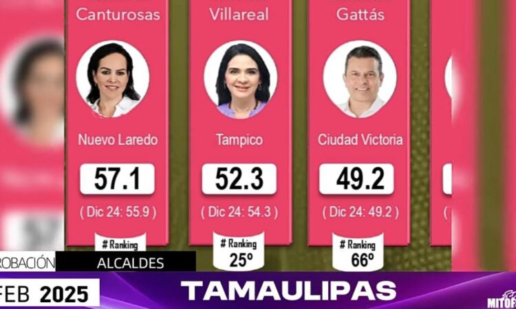 CARMEN LILIA, MÓNICA Y GATTAS, LOS MEJOR EVALUADOS: MITOFSKY