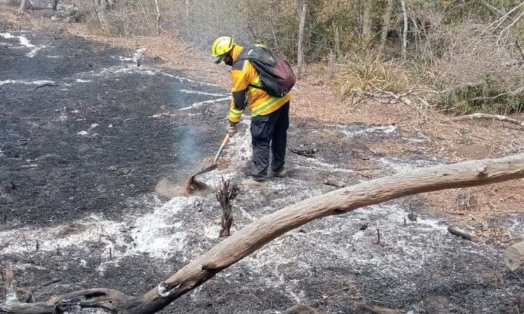 Investiga Fiscalía origen de incendios