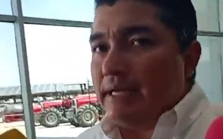 Gusano Barrenador ya está en el estado de Veracruz en límites con Tabasco