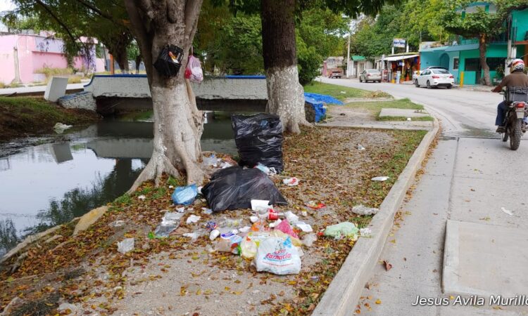 Tamaulipas enfrenta diversos retos  ambientales