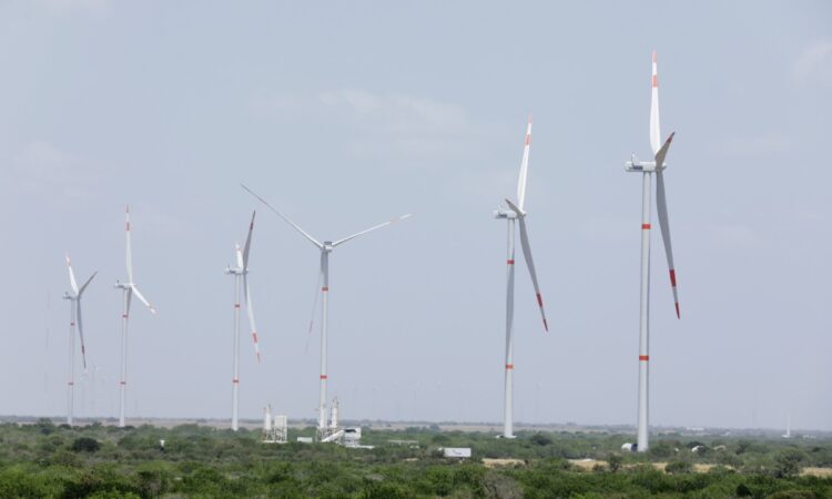 Lidera Tamaulipas producción de energía eólica en México