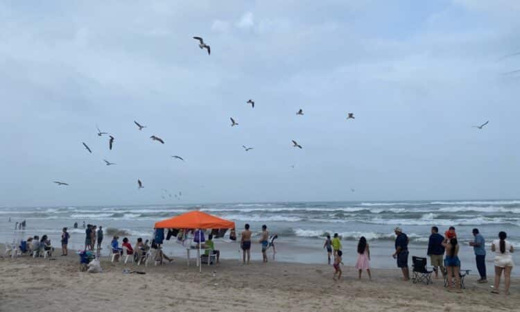Asegura diputado que playas de Tamaulipas no sufren el fenómeno de “saturación de turismo”
