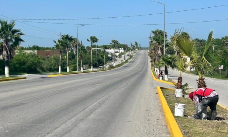 Trabajos de mantenimiento en San Fernando continúan sin interrupciones