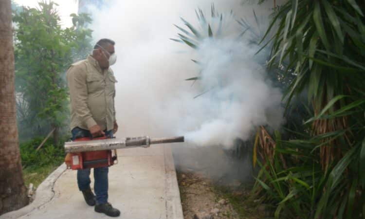 Tamaulipas está libre de zika y chinkungunya, pero repunta el dengue