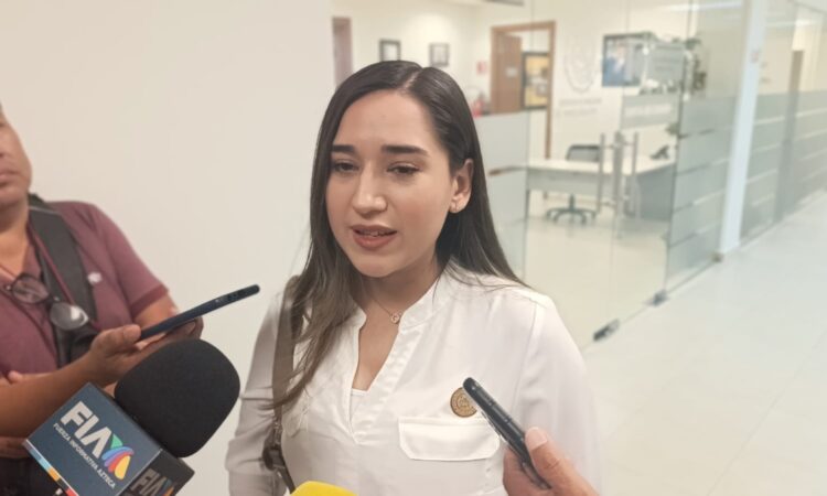 Alerta diputada por violencia que pone en riesgo a mujeres en Tamaulipas