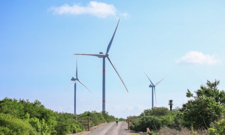 Lidera Tamaulipas generación de energía limpia
