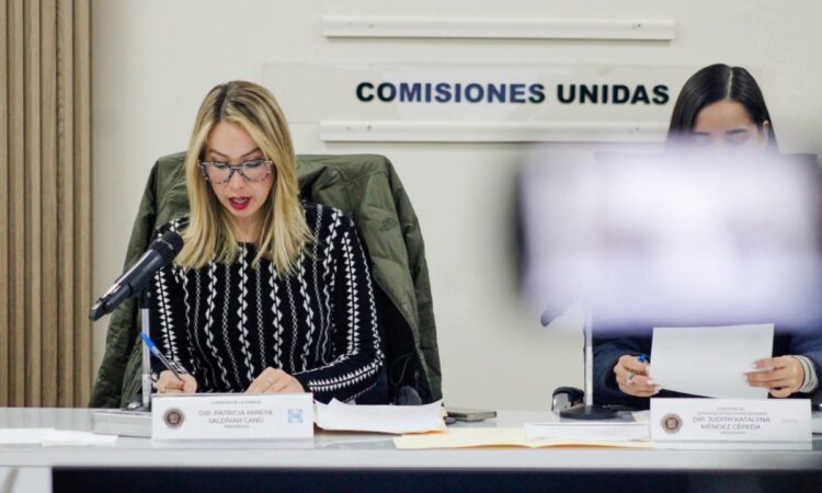 Propone PAN sancionar internamiento forzoso en anexos