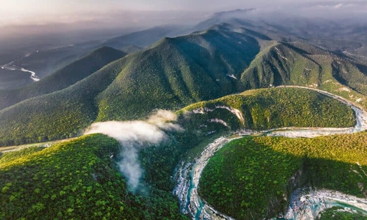 Tamaulipas llega a timbre nacional que mostrará la riqueza de su biodiversidad