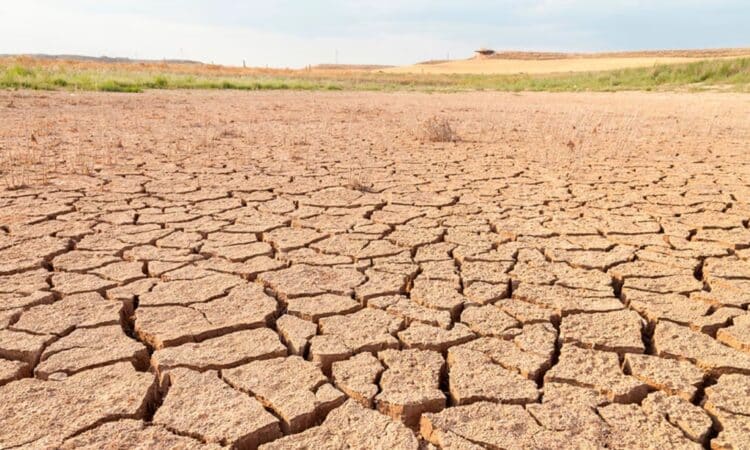 Tamaulipas enfrenta retos para medir avances climáticos