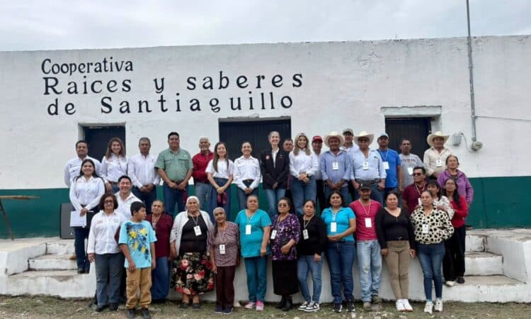La UAT consolida proyecto de aprovechamiento del laurel para el emprendimiento rural