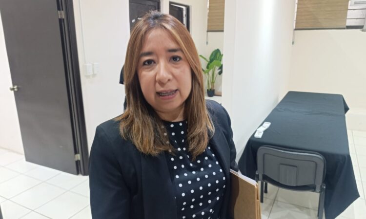Convocan a tamaulipecos a vigilar y organizar los comicios de 2027*